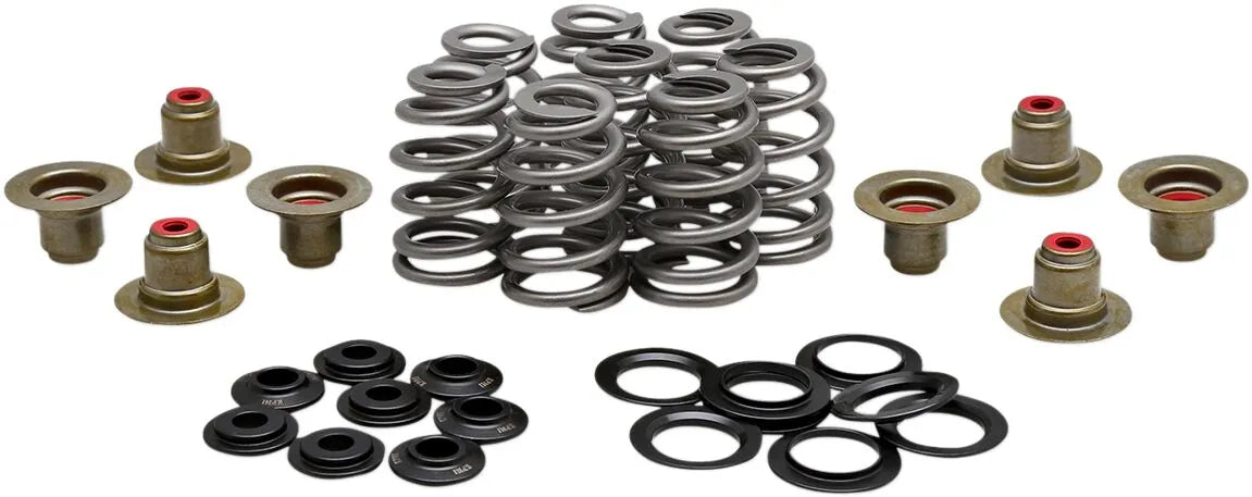 Kibblewhite Beehive Valve Spring Kit .625"