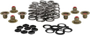 Kibblewhite Beehive Valve Spring Kit .625"