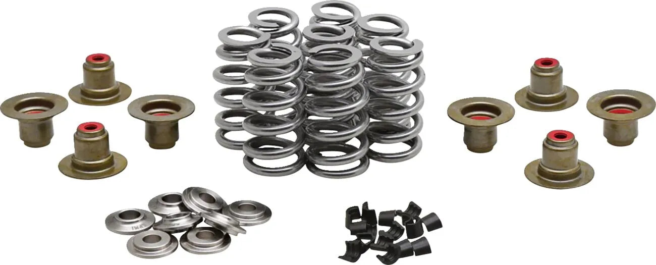 Kibblewhite Beehive Valve Spring Kit