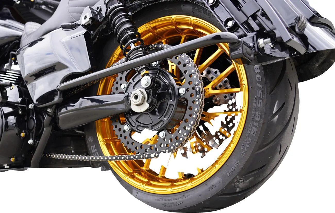 Arlen Ness Chain Drive Conversion Kit