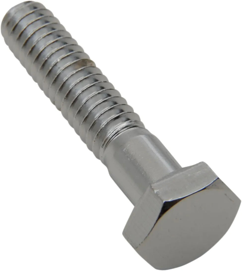 Drag Specialties 1/4"-20 x 1" Chrome Hex-Head Bolts