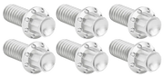Arlen Ness Derby Cover Titanium 12-POINT Bolt Kits – Hardware