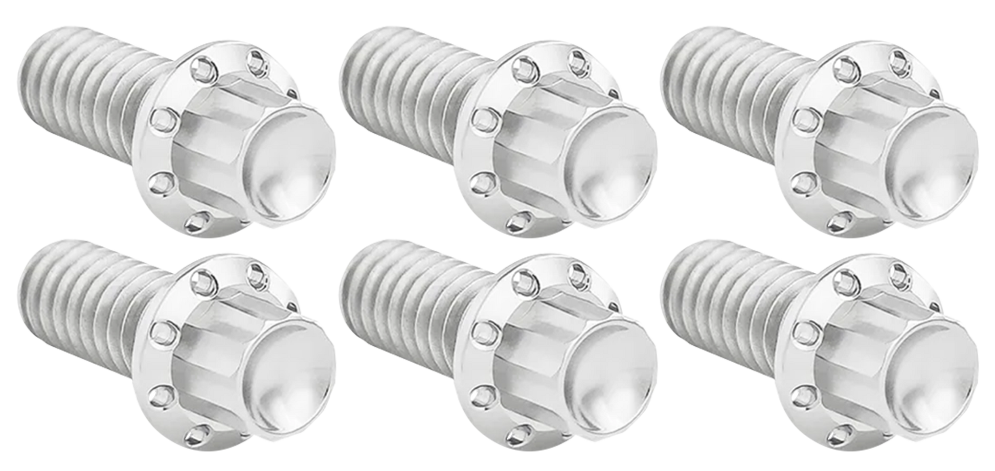 Arlen Ness Derby Cover Titanium 12-POINT Bolt Kits – Hardware