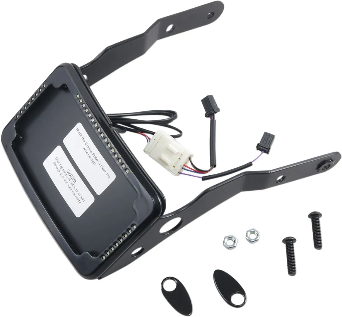 Cycle Visions Curved License Mount With Led Frame
