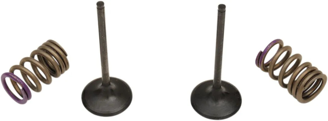 Prox Valve And Spring Kit - Steel, Nitrided Valves