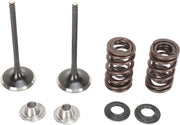 Moose Offroad Intake Valve And Spring Kit