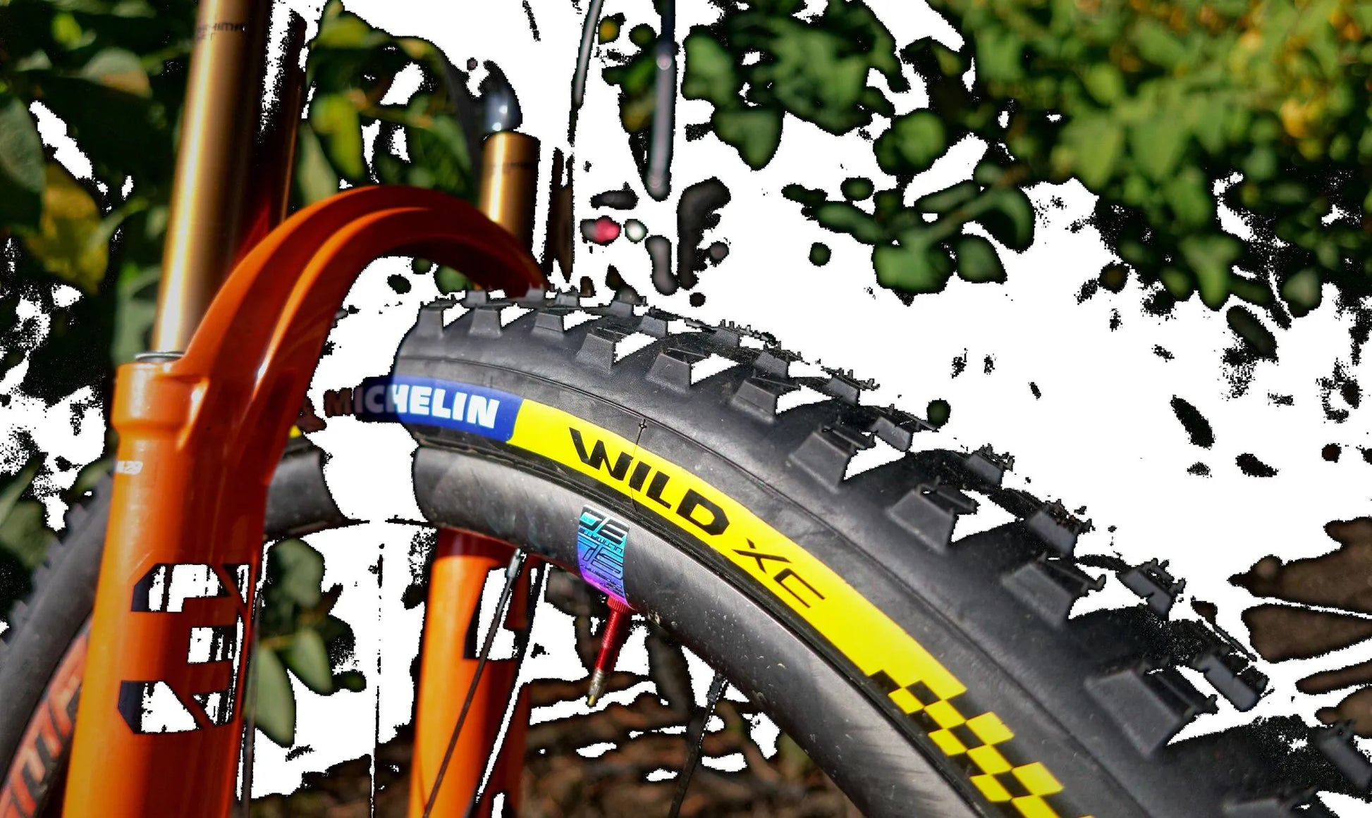 MICHELIN Wild XC Racing Tire for 29" x 2.25" Wheels