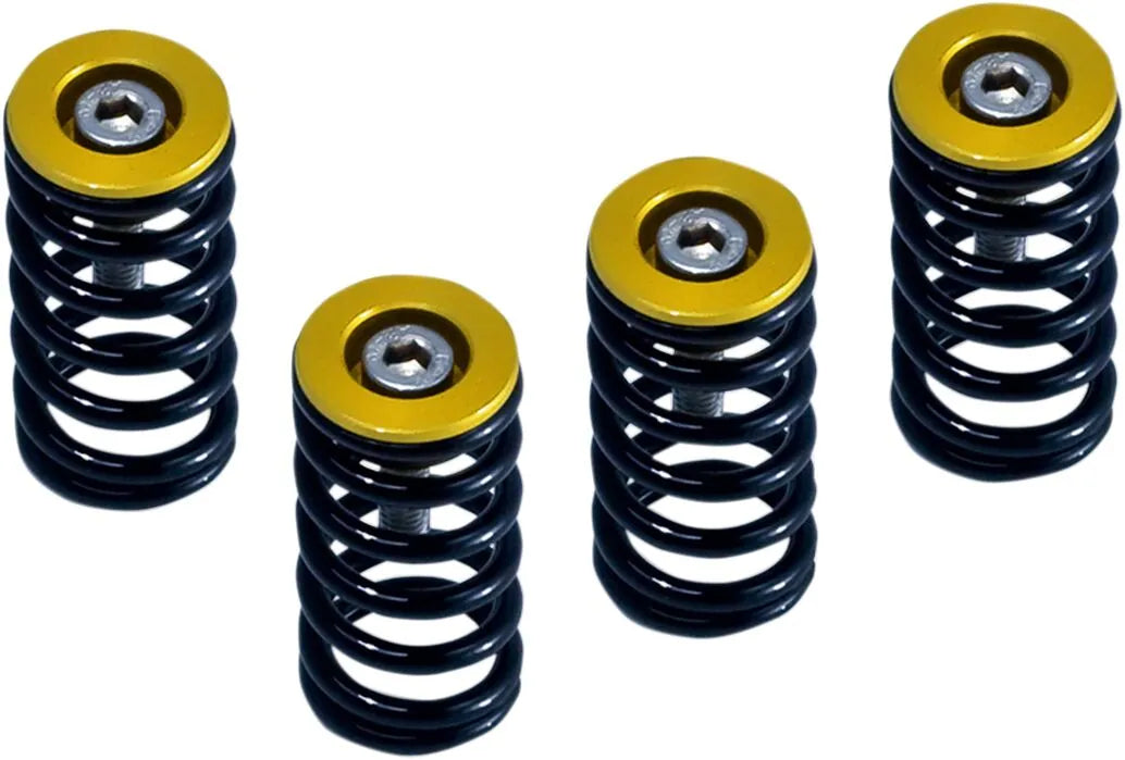 Barnett Clutch Spring Kit
