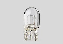 Flosser Filament Glass Wedge Bulbs - 12v