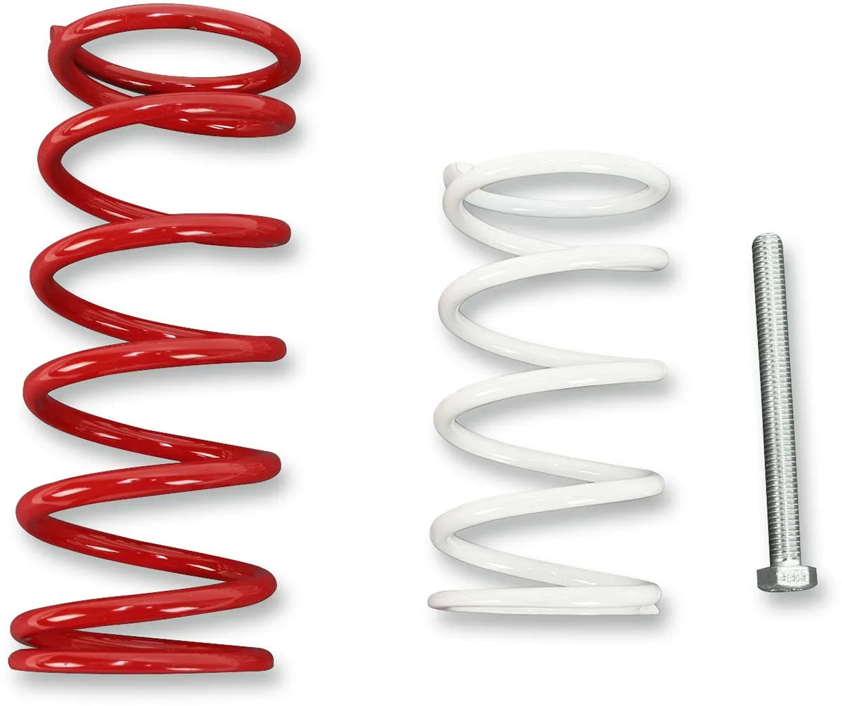 Epi Economy Clutch Kit For General Trail Riding
