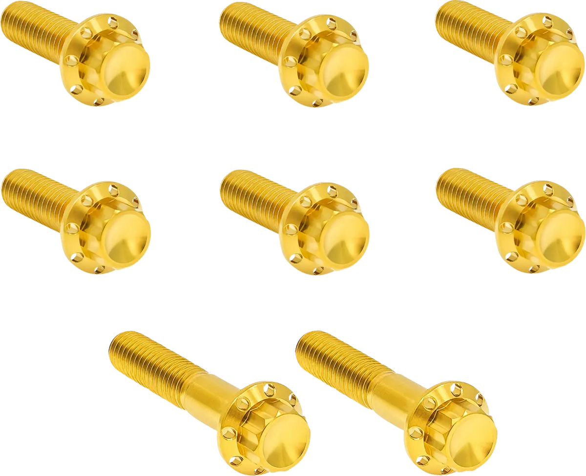 Arlen Ness Transmission Trap Door Titanium 12-Point Bolt Kit