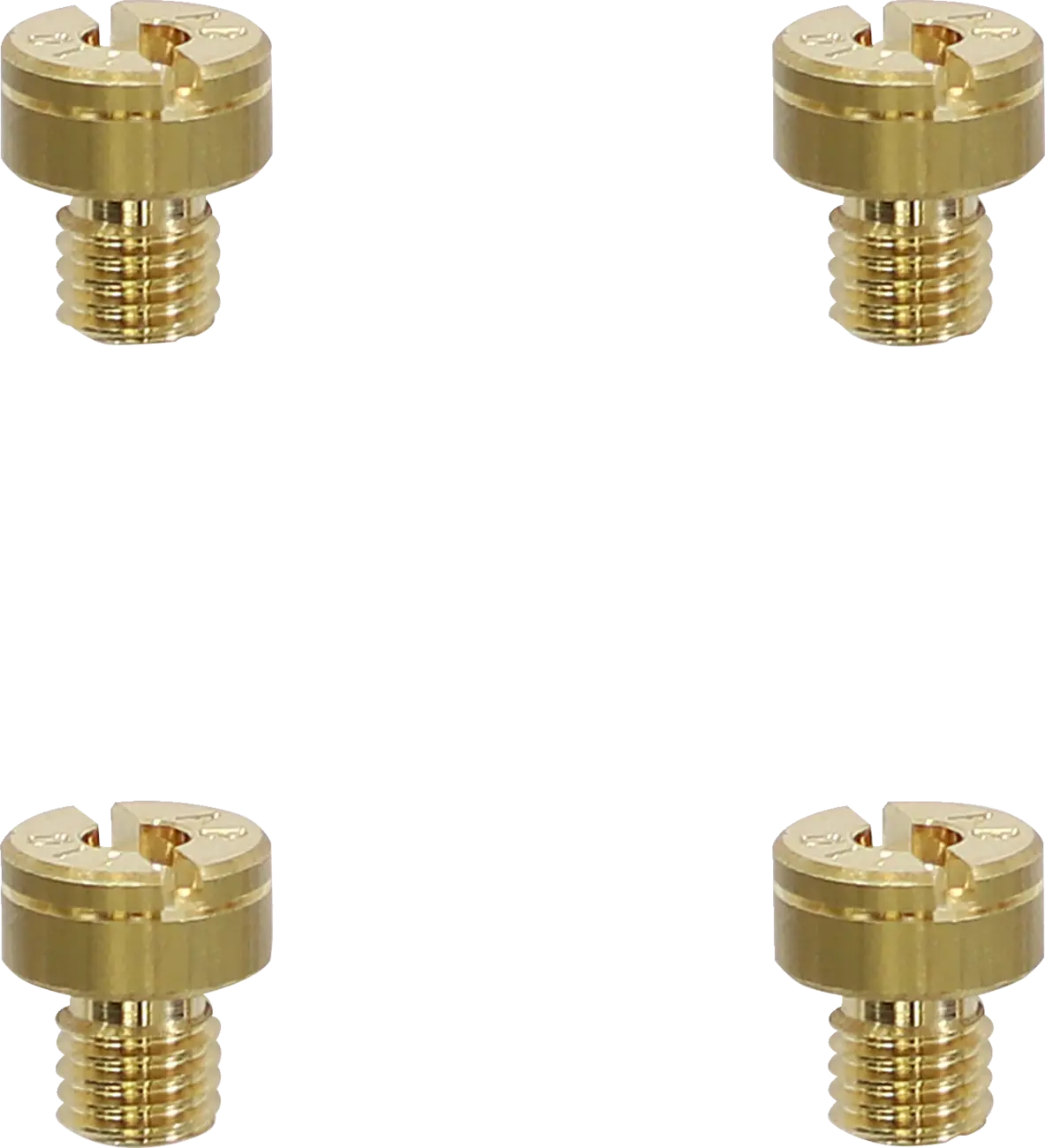 EBC a-Bax Precision Slotted Head Main Jets SJ170