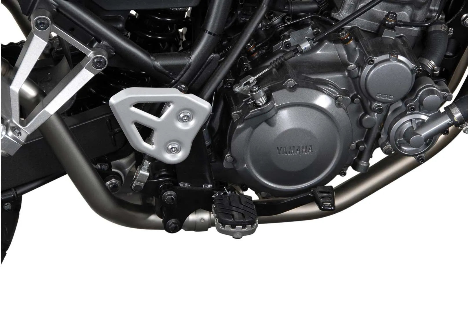 Sw-motech Ion Footrest Kit