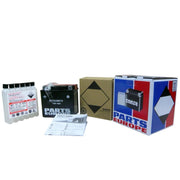 Parts Europe Agm Battery - High Performance 12v