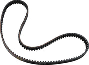 Panther Rear Drive Belt - High-performance