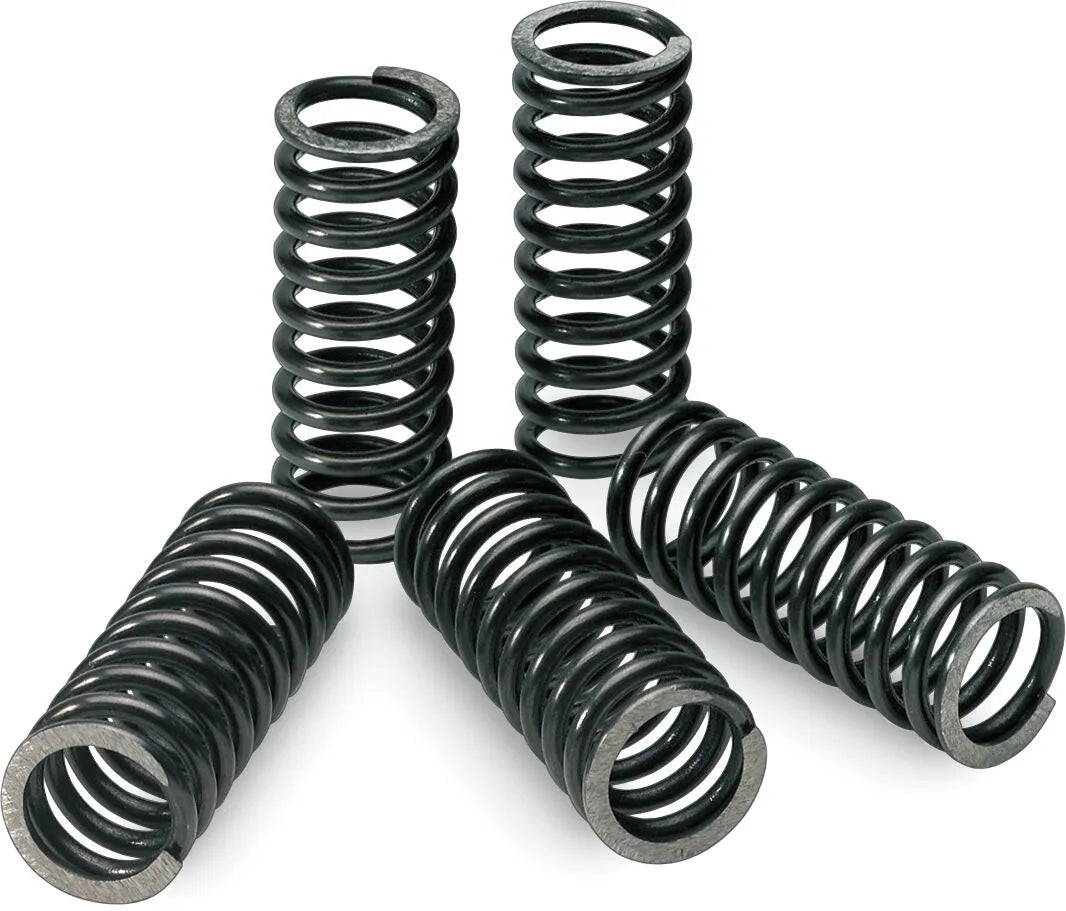 Pro Circuit Clutch Spring Set