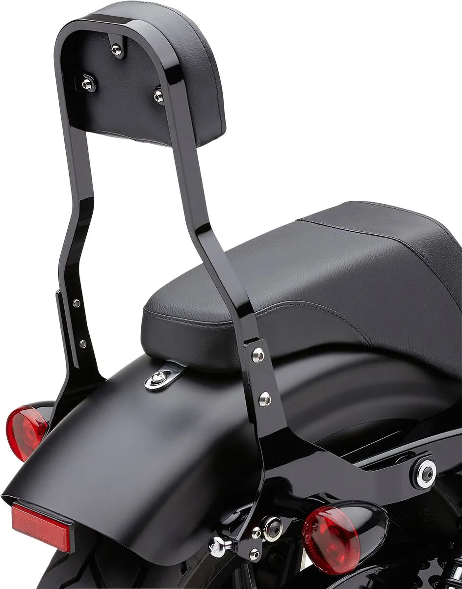 Cobra Detachable Backrest Kit