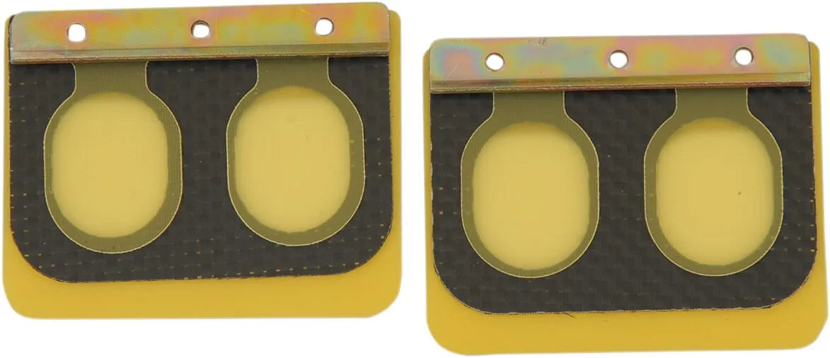 Boyesen Pro Series Reed Set For Rad Valve