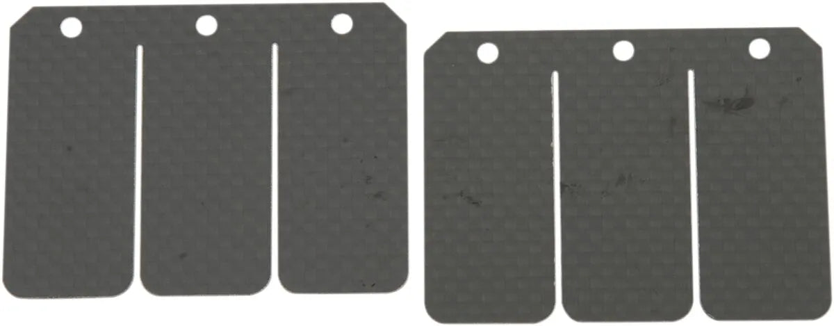 Boyesen Super Stock Reed Set