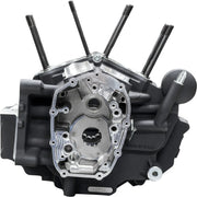 S&s Cycle M8 Softail Crankcase For Big Bore Engines