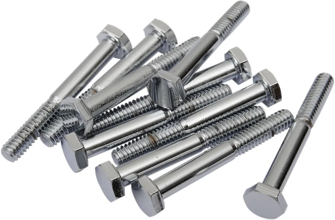 Drag Specialties Hex-Head Bolts 1/4"-20 x 2" Chrome