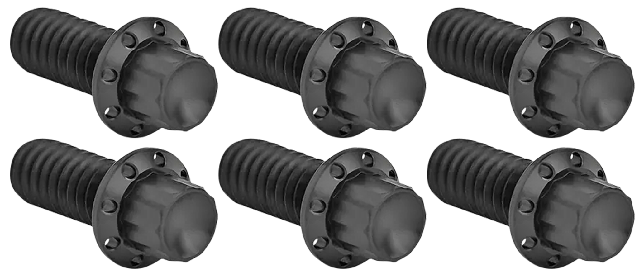 Arlen Ness Derby Cover Titanium 12-POINT Bolt Kits – Hardware