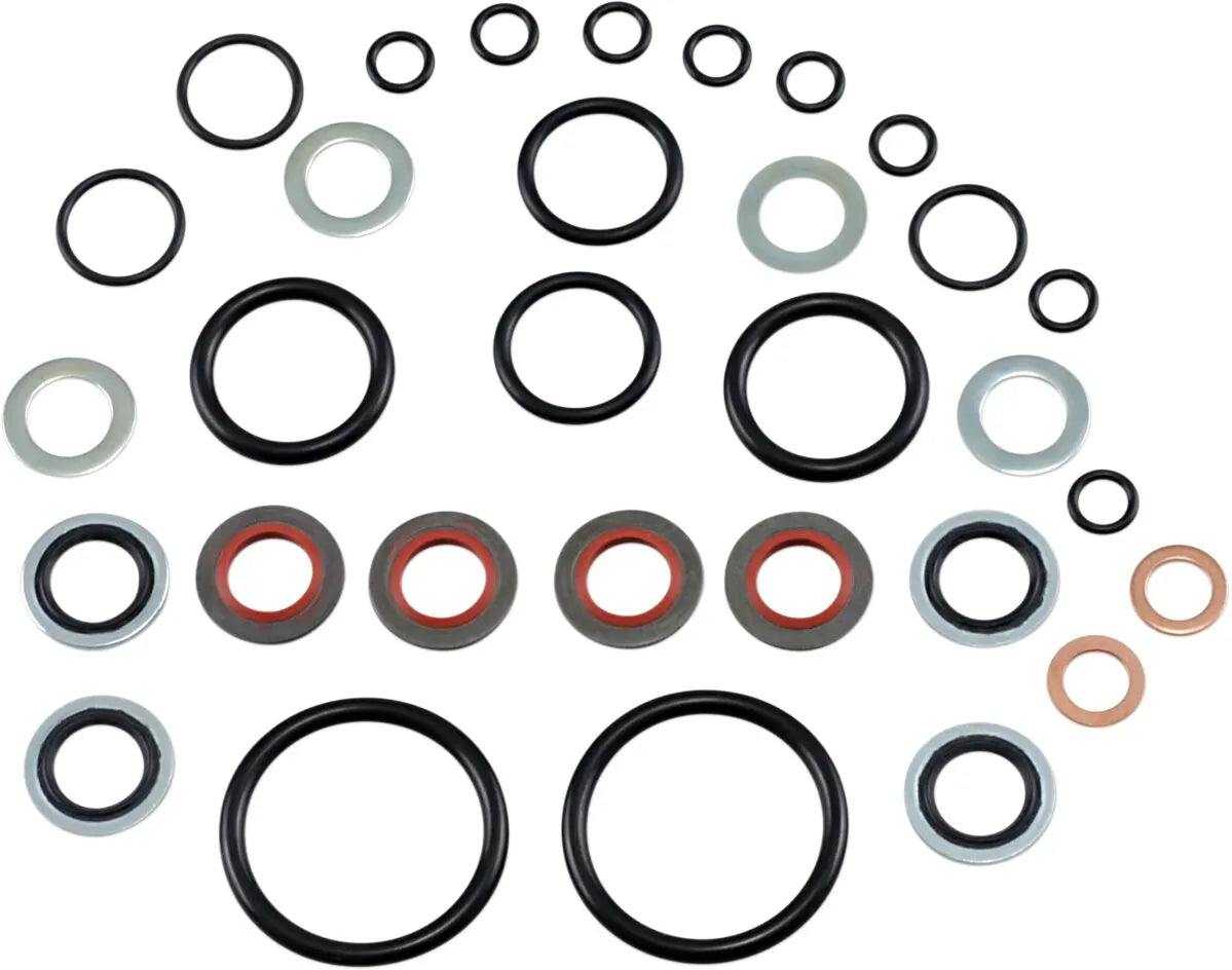 James Gasket Air Control O-ring And Seals Kit