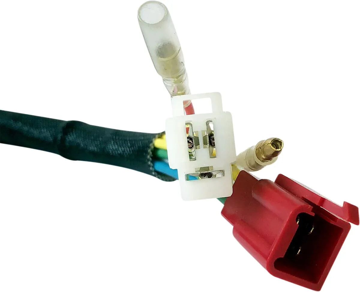 Rick's Motorsport Electric Oe Style Stator