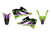 Blackbird Racing Dream 5 Graphic Kit For Kawasaki