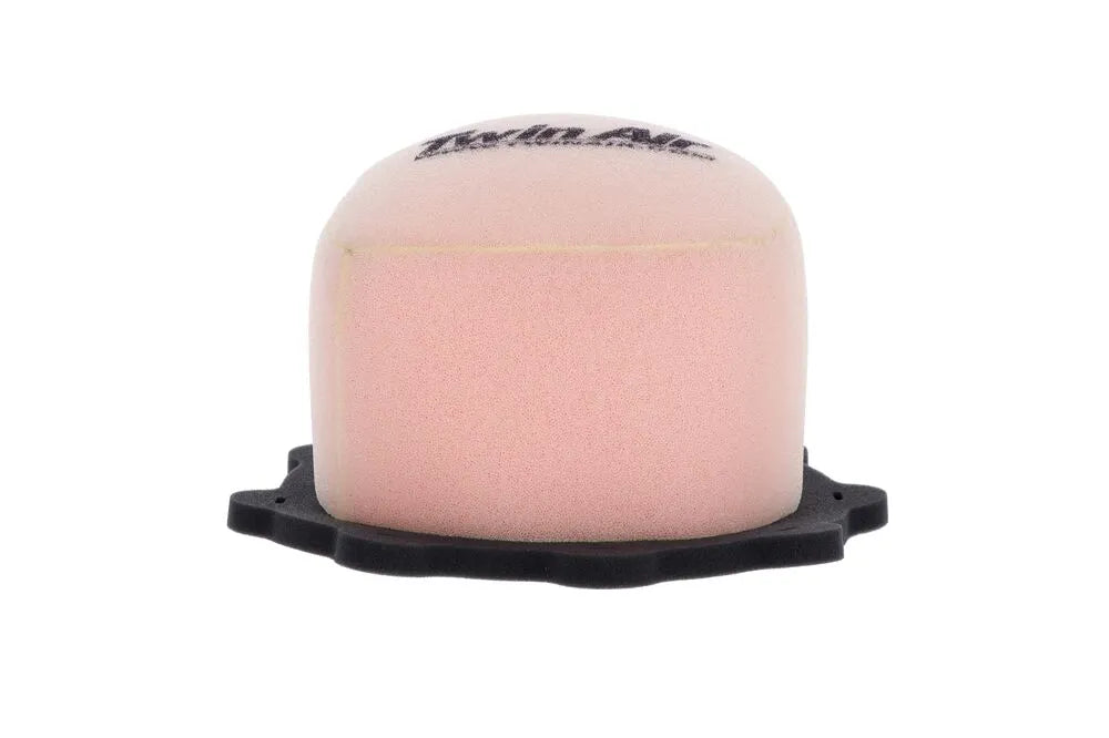 Twin Air Air Filter