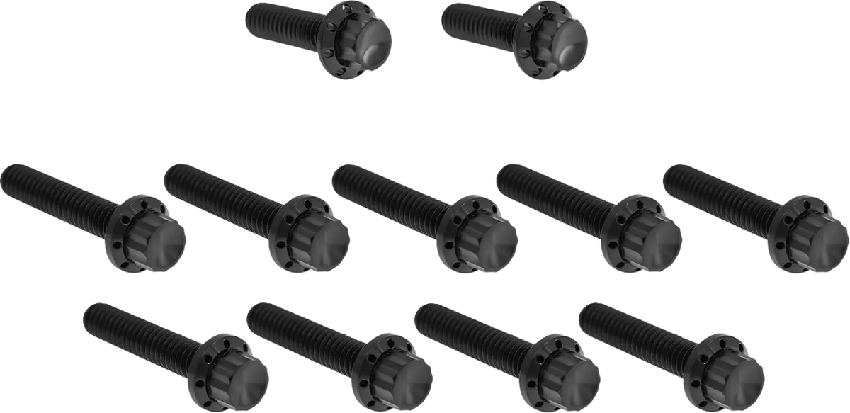 Arlen Ness M8 12-Point Titanium Cam Point Cover Bolt Kit Black