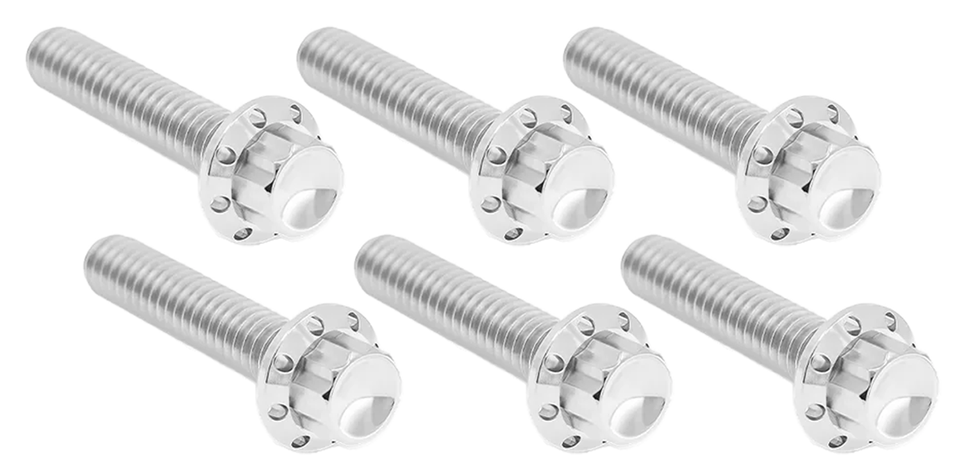 Arlen Ness Transmission Side Cover & Trap Door Titanium 12-POINT Bolt Kits – Hardware