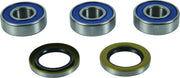 ALL BALLS Wheel Bearing Kit