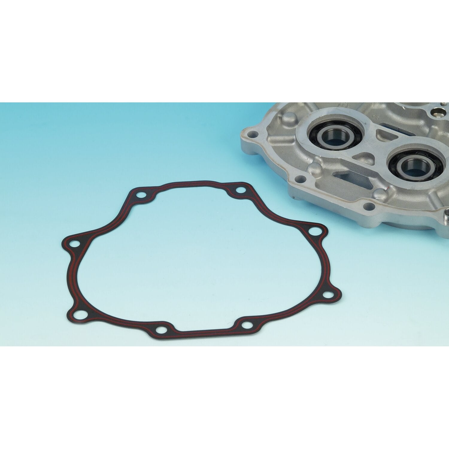 James Gaskets James gasket transmission bearing housing - RCM/silicone