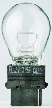 Flosser Filament Glass Wedge Bulbs