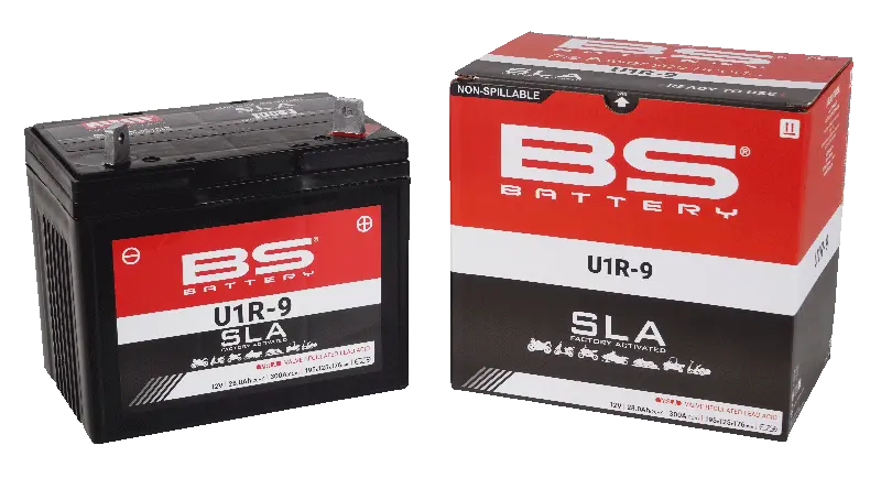 Bs Battery Agm 12v 28ah - Maintenance-free Battery