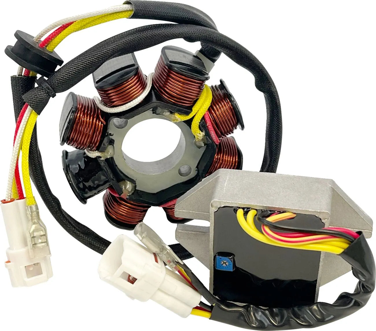 Rick's Motorsport Electric Lithium-ion Charging Kit