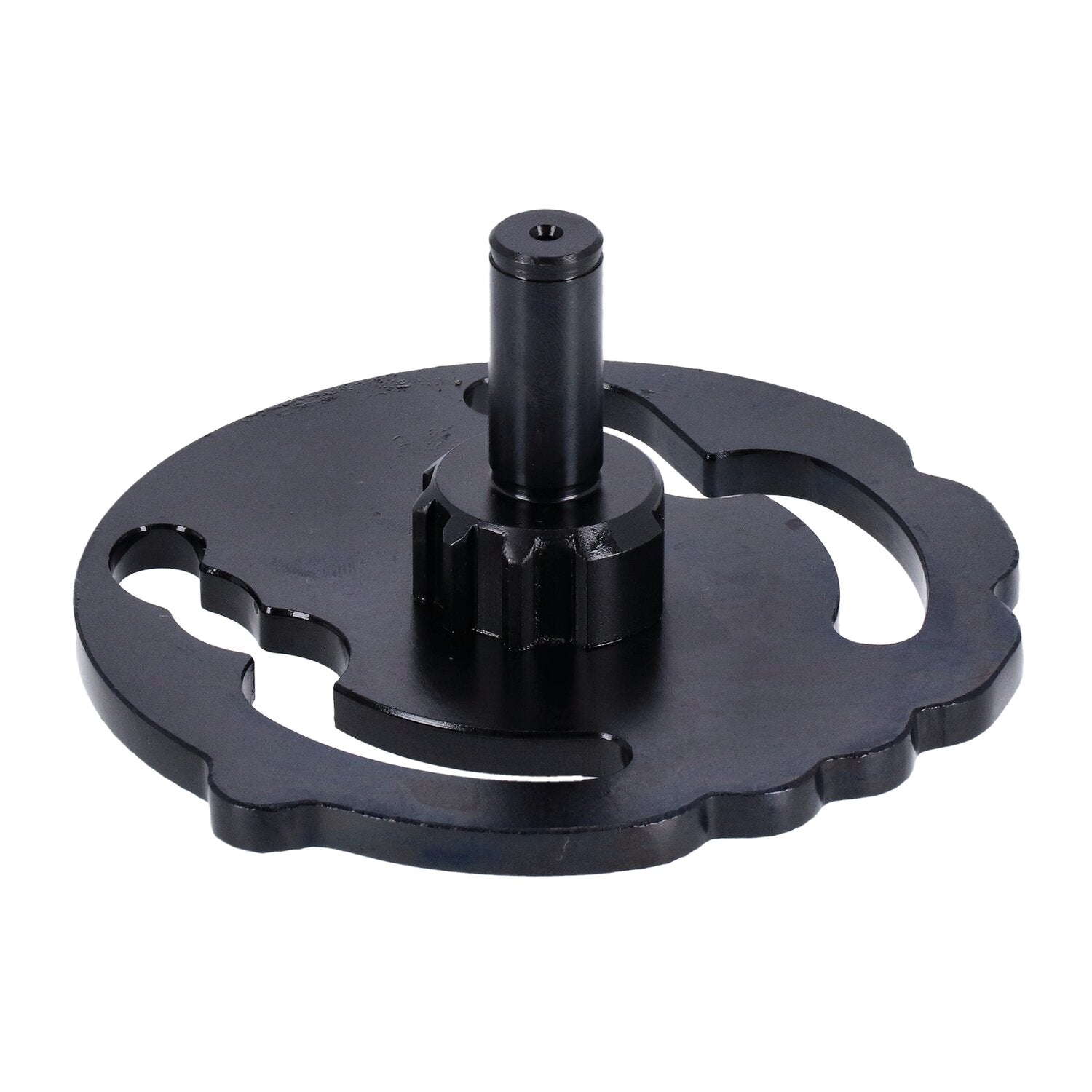 MCS Shifter cam assembly