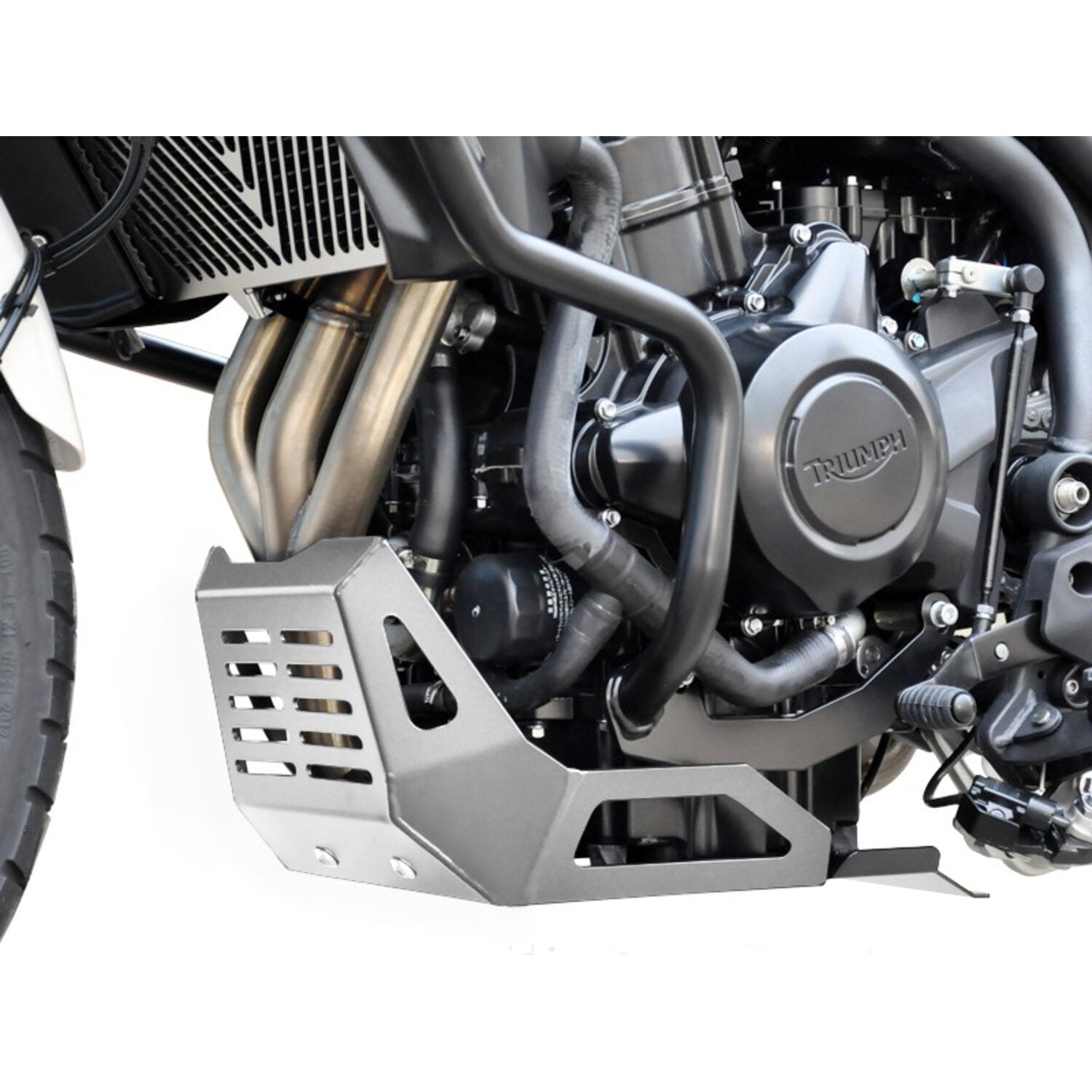 Zieger engine guard silver