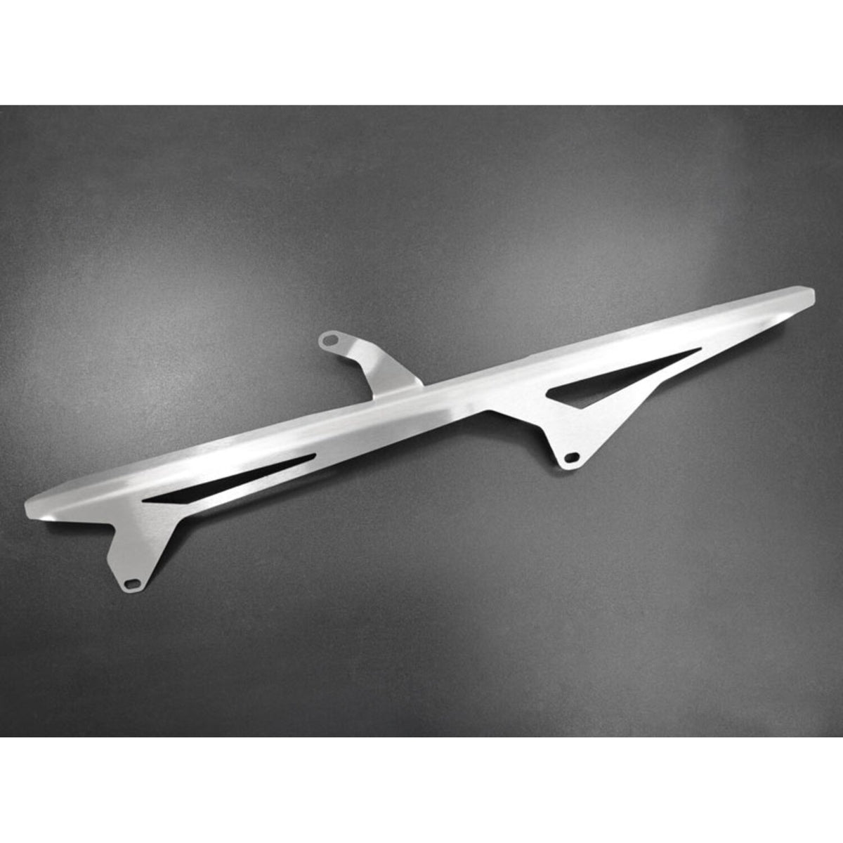 Zieger chain guard silver