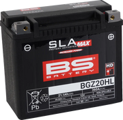 Bs Battery Sla Max 12v 20ah Agm Battery
