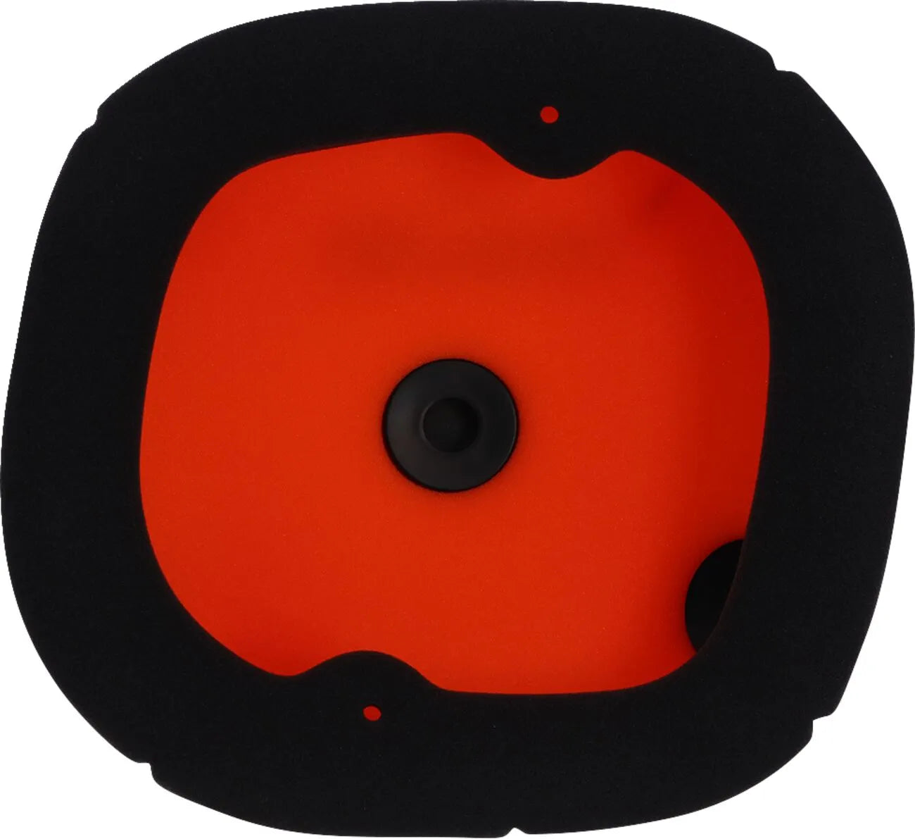Twin Air Standard Air Filter