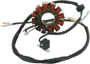 Rick's Motorsport Electric Stator For Polaris