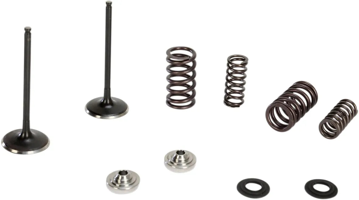 Kibblewhite Stainless Intake Valve And Spring Kit