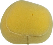 Twin Air Air Filter