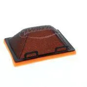 Twin Air Air Filter