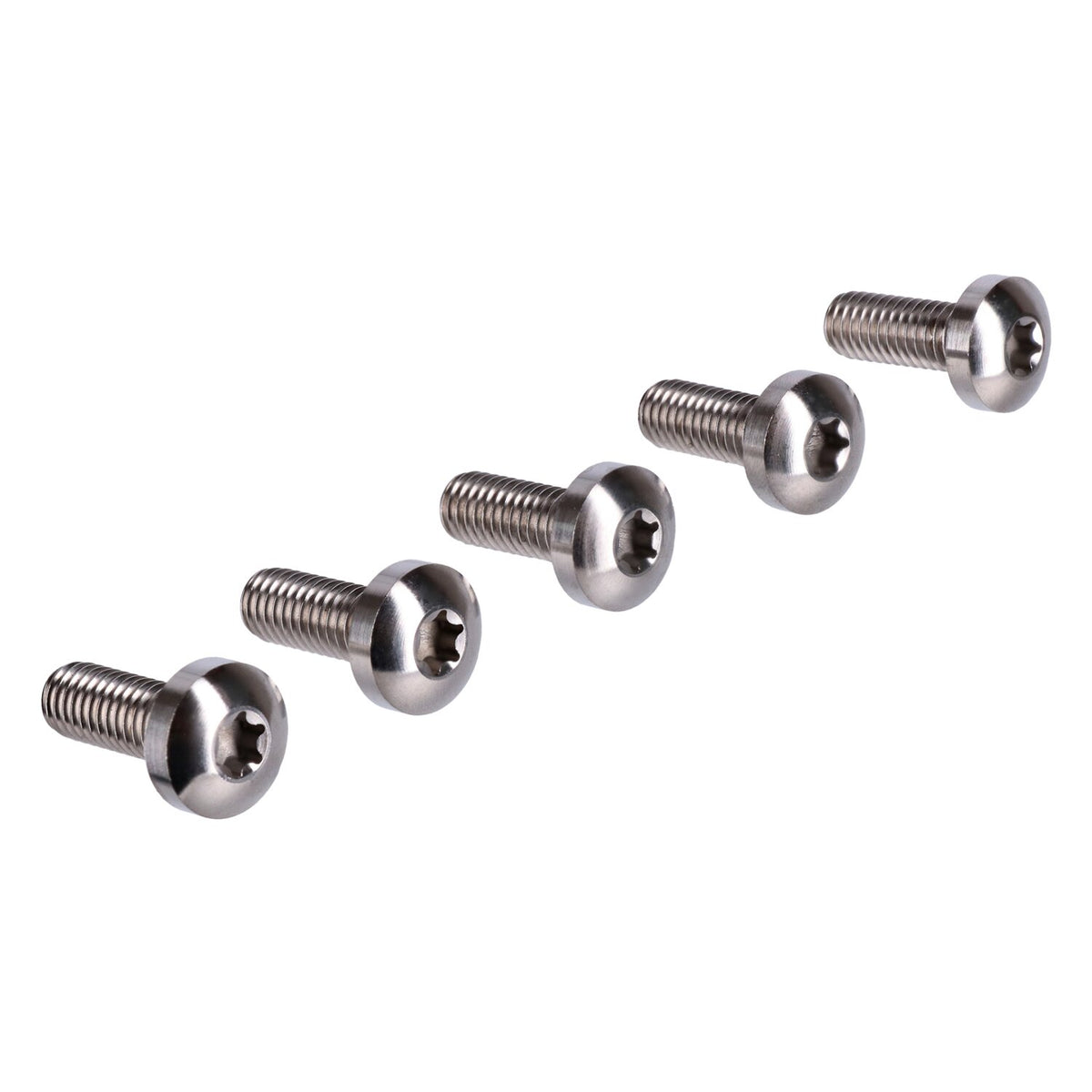 Screws4bikes bolt kit brake rotor discs rear (TITAN)