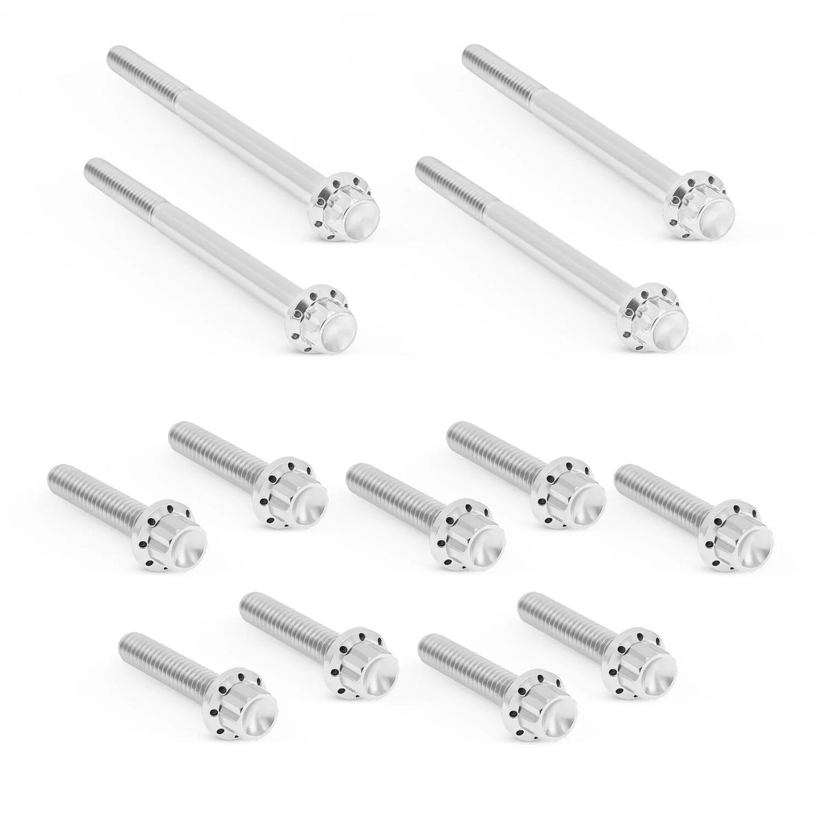 Arlen Ness Titanium 12pt Primary Cover Bolt Kits - Polish