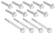 Arlen Ness Primary Cover Titanium 12-POINT Bolt Kits – Hardware