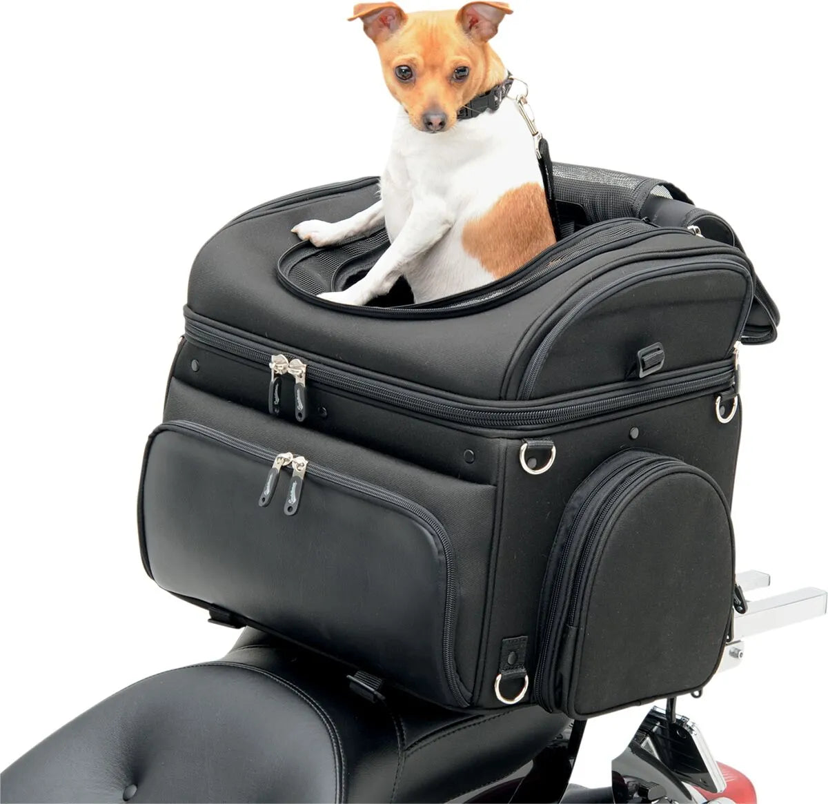 Saddlemen Pet Voyager Motorcycle Pet Carrier